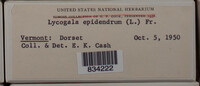 Image Associated With the Occurence